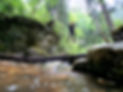Survival Parcour_edited.jpg