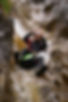 Canyoning.jpeg