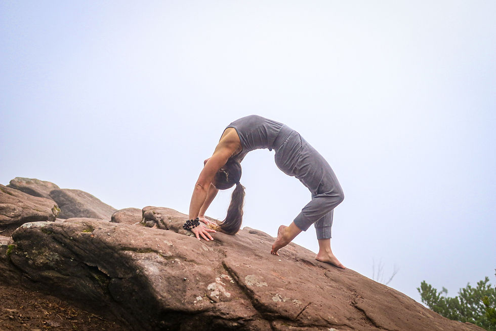 FEEL - Yogalehrerausbildung