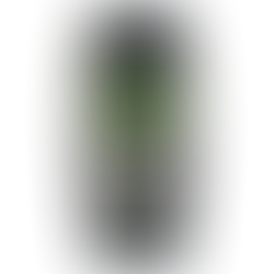 The $4 billion hangover cure side hustle that's almost worthless