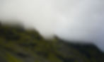 Mujo_home_header.jpg