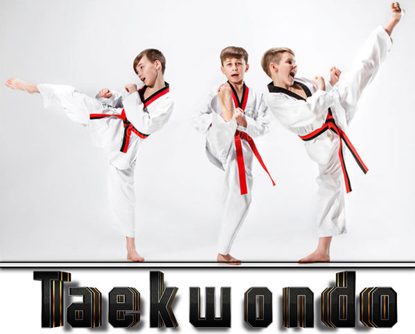 el-estudio-tiró-del-grupo-de-niños-que-entrenaban-artes-marciales-del-karate-90049146.jpg