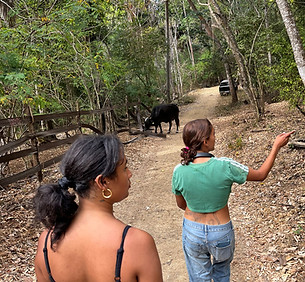 Imagen de WhatsApp 2025-02-25 a las 16.09.08_6cd98d22.jpg