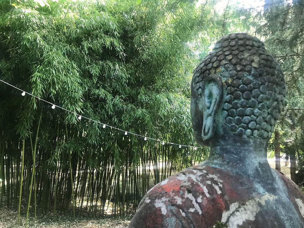 France retreat yoga garden11