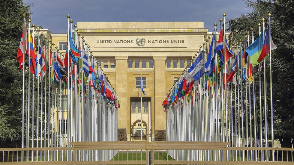 The United Nations within a global ecosystem: perspectives