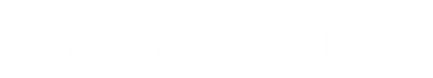 Bright Mind Logo White