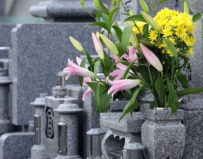 Do You Need a Solicitor When Someone Dies in Ireland