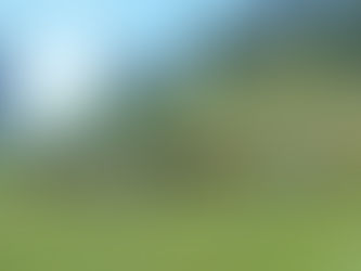 Weaving a Quarter Horse Dream Team | September 2023