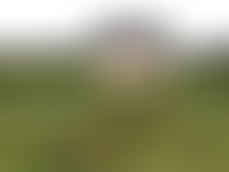 By the Numbers | February 2023