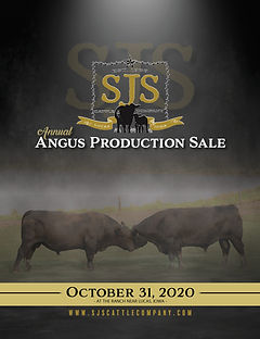 SJS Cattle Catalog 2020.jpg