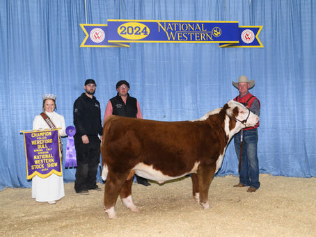 Finding the Perfect Niche | March 2024