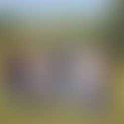 Straight Up | January 2023