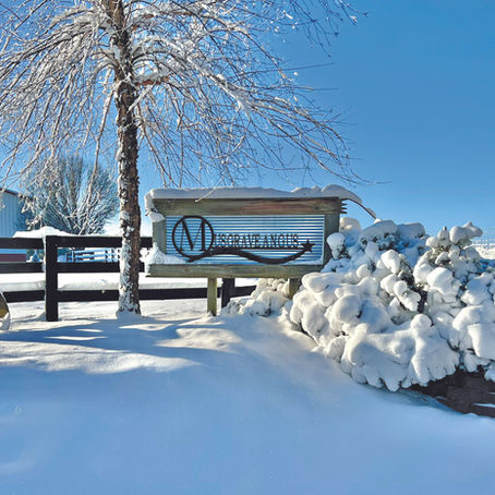 Bulletptoof Cowherd | January 2023