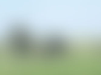 Hooked on Angus | February 2023