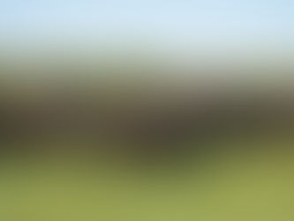 Better Together | November 2023