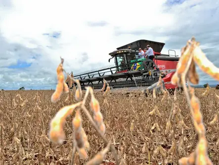 Comércio goiano registra superávit de US$ 6,6 bilhões em 2024