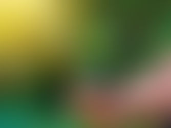 Conheça alguns projetos da Secretaria de Meio Ambiente em Goiás.