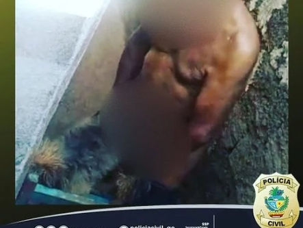 Após denúncia, idoso que cometia zoofilia é preso em Goiás