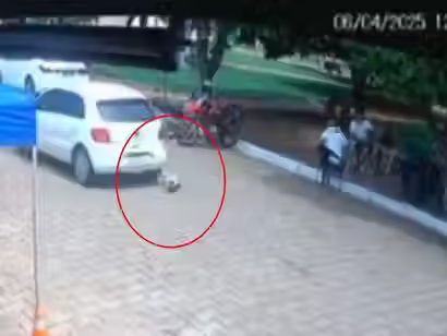 Vereador de Goiás atropela cadela e deixa local sem prestar socorro