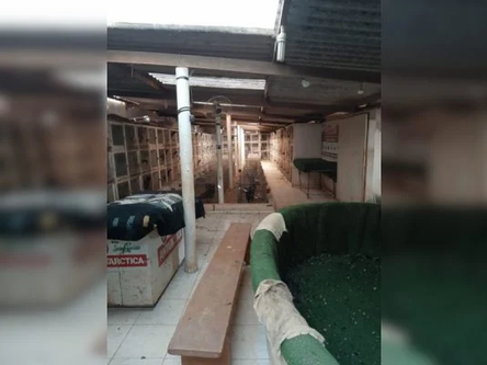 Agiota é preso com armas, munições e 260 galos de rinha no DF