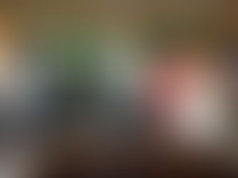 Governo reforça Projeto de Fruticultura do Vão do Paranã