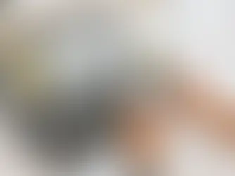 Conheça serviços de órgãos federais para se proteger de golpes