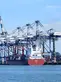 Porto de Santos vive corrida de exportadores antes de tarifas dos EUA