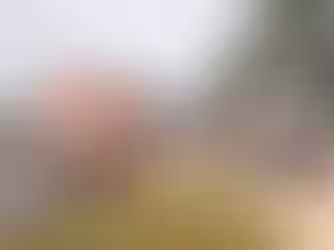 No DF, crianças de 5 anos fogem da cuidadora e tentam pegar ônibus.