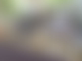 Oito suspeitos de planejar explosão de caixas eletrônicos são mortos em ação da PM em Goiás