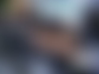 Alego aprova lei de combate ao incêndio criminoso