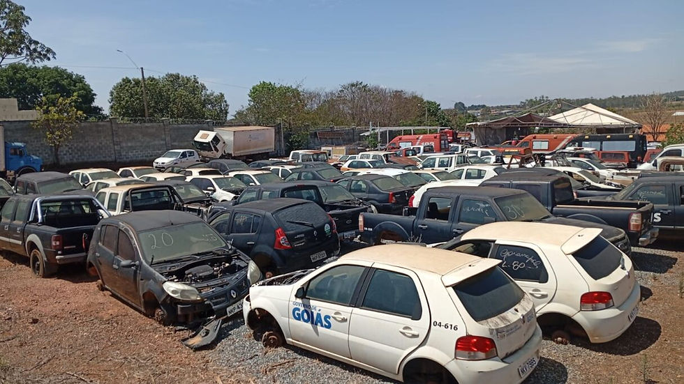 Participação no leilão é  por meio de lances, aberta a pessoas físicas e jurídicas, mediante cadastro prévio na plataforma digital (Foto: Sead)
