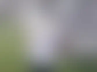 Médica que sequestrou bebê é presa suspeita de homicídio em Goiás