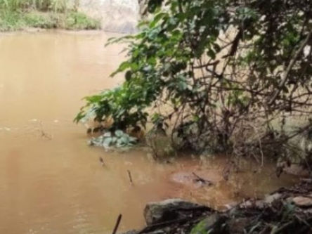 Agrotóxicos no rio Vermelho: veja informações atualizadas