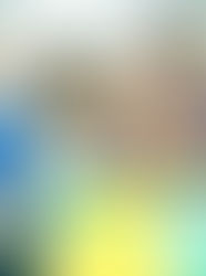 Goiás Social entrega mais de 7 mil benefícios no Entorno do DF em dois meses