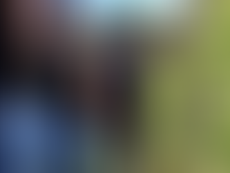 Em Alto Paraíso de Goiás, Homem é preso suspeito de estuprar a enteada por sete anos