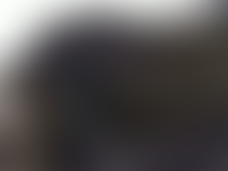 Em Goiás Tutor é preso por deixar morrer pit-bull repleto de carrapatos