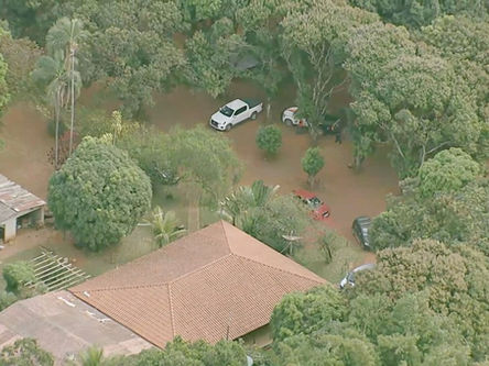 Dois policiais são baleados em Goiás durante buscas por suspeito de matar família em Ceilândia DF