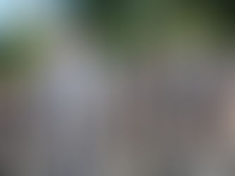 Caiado propõe ampliar o uso de Inteligência Artificial para combater criminalidade