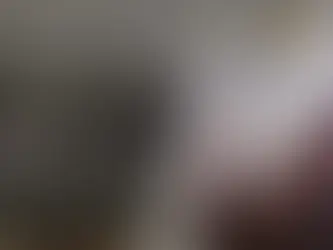 PMDF resgata babá e crianças mantidas reféns no Lago Norte