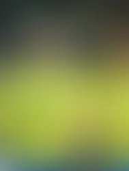 TV Brasil transmitirá jogos da seleção feminina na Copa América