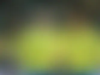 TV Brasil transmitirá jogos da seleção feminina na Copa América