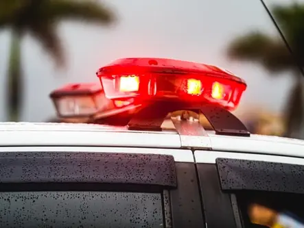 Polícia prende jovem que desviou mais de R$ 100 mil de empresa do DF