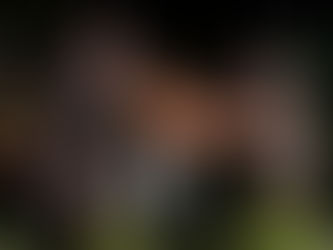 Suspeito de matar a esposa grávida a facadas em Luziânia é preso