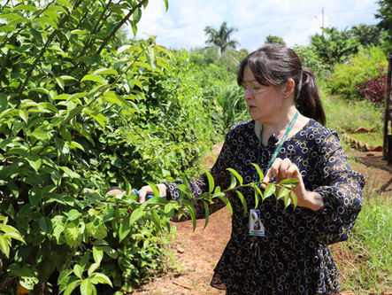 Governo abre 25 vagas temporárias para Emater