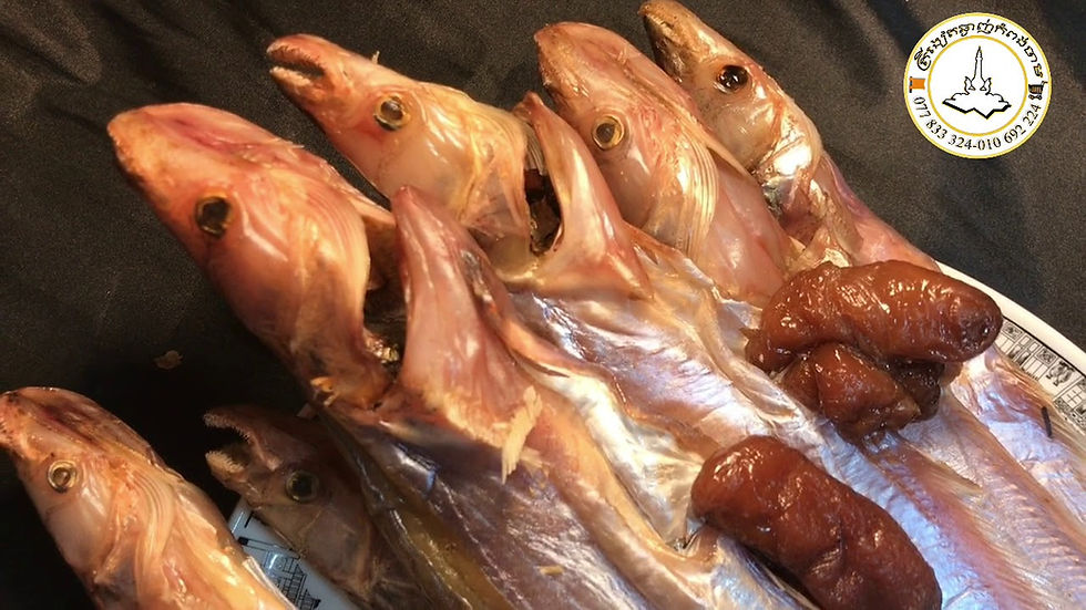 ត្រីកេះខ្មែរ-Yummy Khmerfish