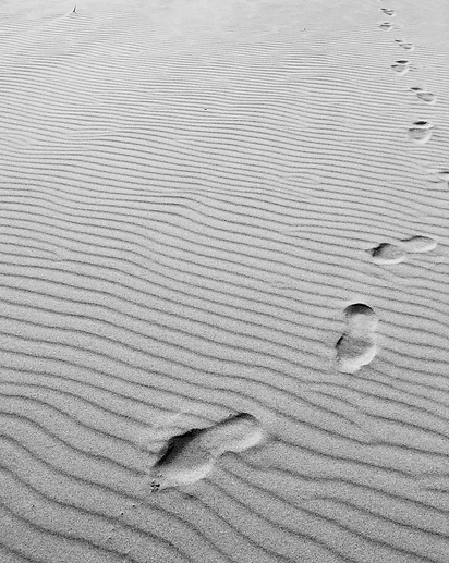 from fear to freedom