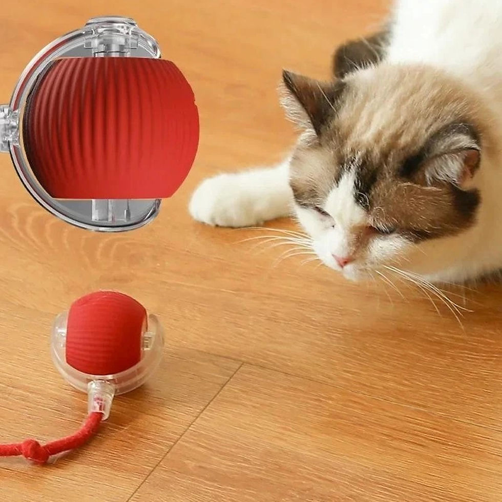 Miniatura: Bolinha Automática Interativa