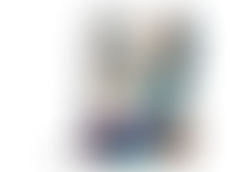 CaptuRec MegaBundle 500 LUTs (Win Mac)