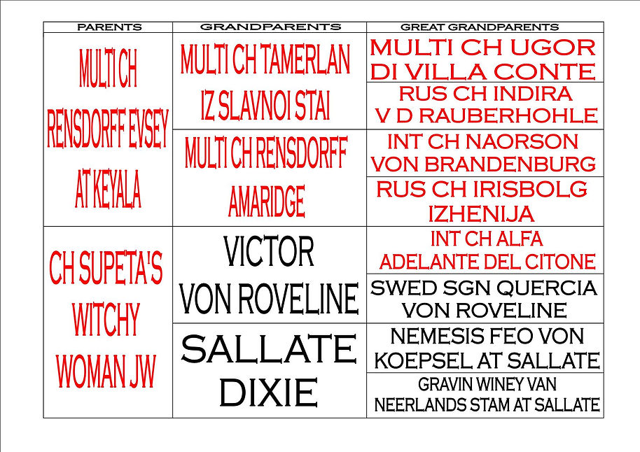 LUTZ PED.jpg