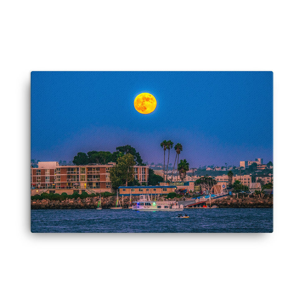 Thumbnail: Full Moon in the Marina on Canvas